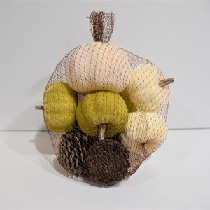 Bundle of Pumpkins and Pine Cones